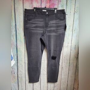 NwT AVA+VIV Charcoal Pants